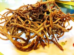 椒盐鳗鱼苗-莲花公园煎蟹(总店)