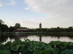 -西海子公园