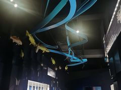 -同济大学四平路校区深海探索馆