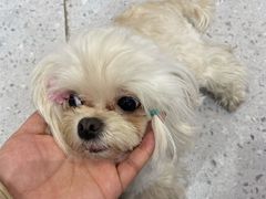 -FAELING PETS美天灵宠物(富力广场店)