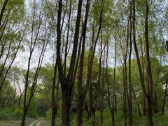 -长春市南湖公园