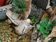 -马路边边串串香(双井直营店)