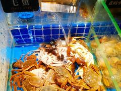 -加餐海鲜自助(集美银泰百货店)