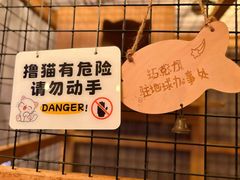 -白兔子密室(长寿路店)