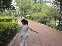 -金鸡湖桃花岛