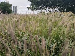 -府河摄影公园