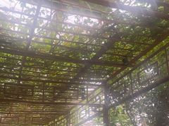 -金稼园·金平湖农家菜