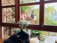 -有猫主题·治愈系猫咖(曾厝垵店)