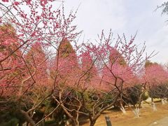 -白塘生态植物园