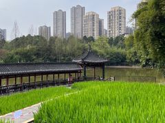 -龙头寺公园
