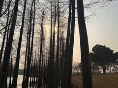 -苏州太湖国家湿地公园
