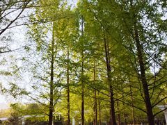 -唐城墙遗址公园