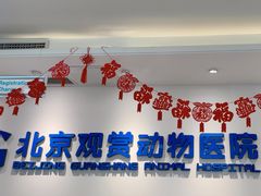 -北京观赏动物医院·24小时大型综合·猫专科·异宠专科