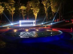 滴水湖皇冠假日酒店-上海滴水湖皇冠假日酒店