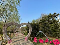 -莫子山公园