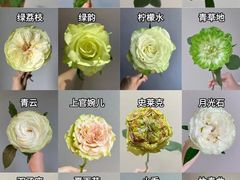 -亭亭鲜花店(中山北路店)