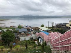 -云端彼岸马场