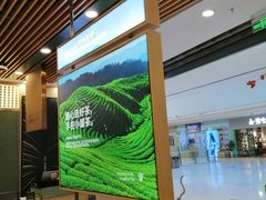 -小罐茶(济南恒隆广场店)