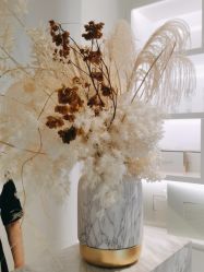 -YESIDO椰岛美容