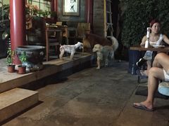 -百好乐宠物友好餐厅(朝外大街店)