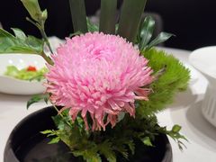 -蘇锦宴·淮扬菜烤鸭·小院(三元桥霄云路店)