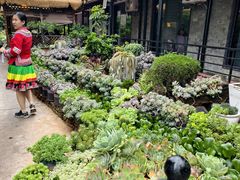 -山菌美食苑(振兴路店)