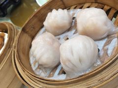 有腥气虾饺皇-有腥气私房菜·寻味顺德