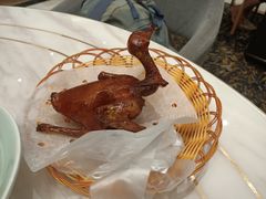 水润乳鸽-稻香酒家·33年老字号·港式粤菜(富邦中心店)