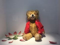 -成都泰迪熊博物馆