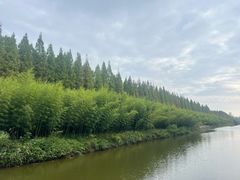 -黄海国家森林公园