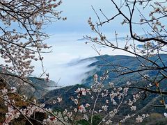 -妙峰山风景名胜区