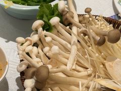 -东来顺饭庄(天坛店)