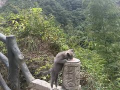 -雁荡山风景名胜区