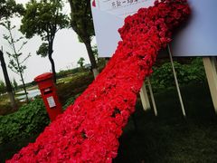 -春花秋色城市公园