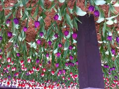 android_upload_pic-锦屏公园