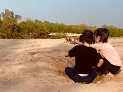 -东郊湿地公园