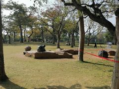 -南宁南湖公园