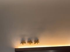 -吕氏焗小鲜•海鲜青岛菜(总店)