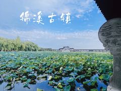 -锦溪古镇