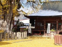 -医王山·飞騨国分寺