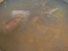 -棠宴酒店(汉口学院店)