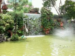 -碧江金楼