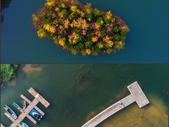 -泗洪洪泽湖湿地景区