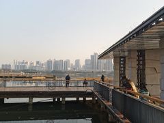 -月湖风景区