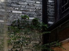 -Eu2+ coffee(上大路店)