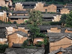 -杨家堂村