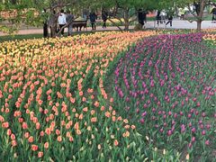 -长春公园(普阳街道)