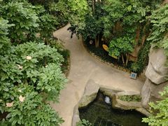 -南山植物园