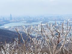-紫金山山顶公园