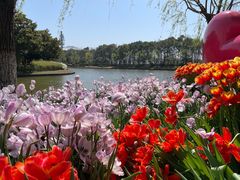 -上海鲜花港